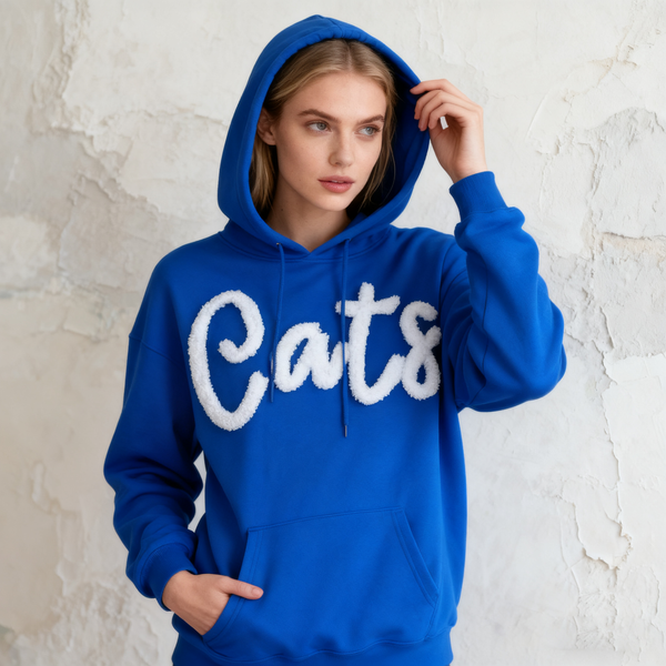 Ohio Pullover, Chenille Embroidered Sweatshirt, Team Sweatshirt, OH Pullover, School Mascot